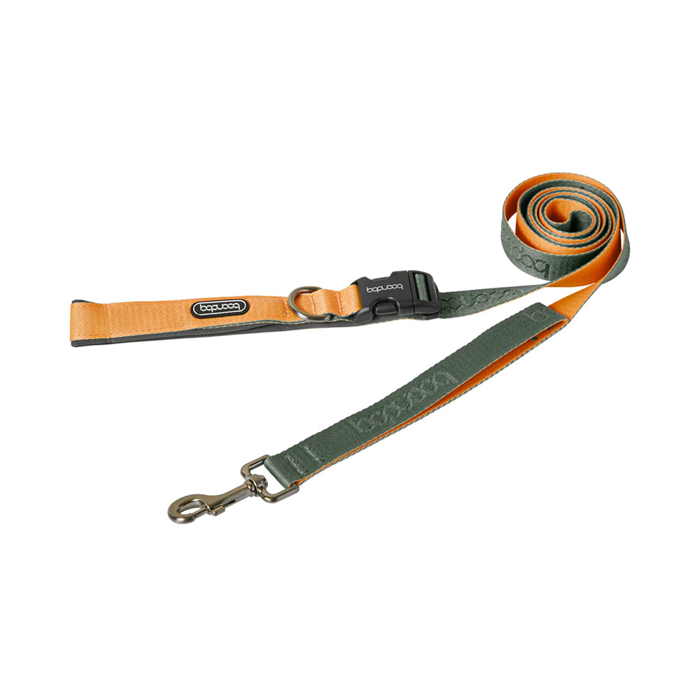 Play Leash 2.0 Dog Leash